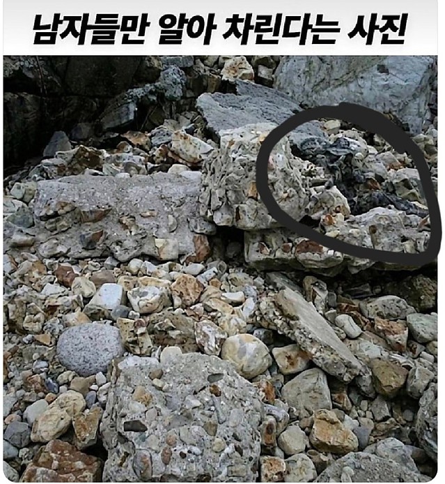 3초 안에 못 찾으면 죽는 사진
